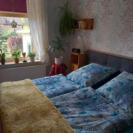 Harz Und Gemuetlich Appartement *