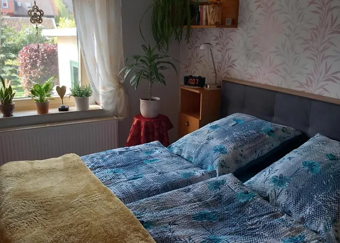 Harz Und Gemuetlich Lägenhet *