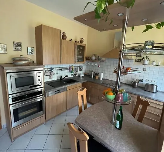 Lägenhet Harz Und Gemuetlich *